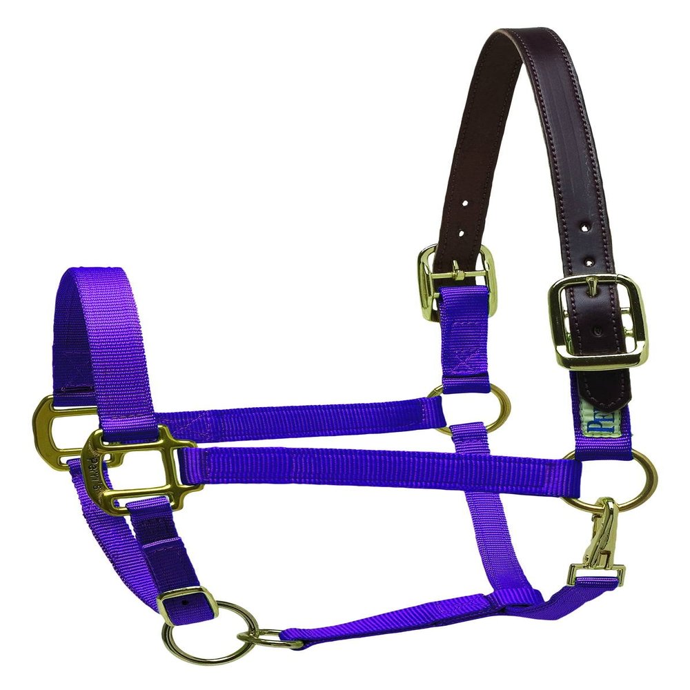 Perri's Premium Nylon Safety Halter, Purple