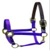 Perri's Premium Nylon Safety Halter, Purple view 1