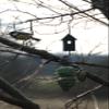 Esschert Bird Feeder Spring, Assorted view 3