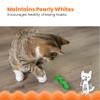 Catstages OrkaKat Wiggle Worm - Cat Toy with Catnip view 4