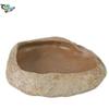 Trixie 76181 Reptile Water and Food Bowl, 11 x 2.5 x 7 cm view 2
