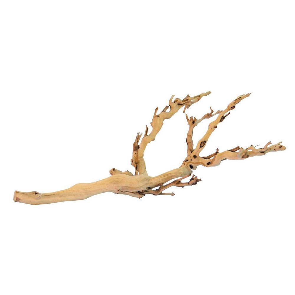 Exo Terra Forest Branch, Medium
