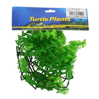 Lucky Reptile PLF042 64542 Turtle Plant - Hornwort, 47 g