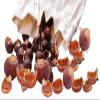Soap Nuts in Cotton Bag + Wash Bag, 1 kg – Sapindus mukorossi, Allergy-Friendly, Natural Detergent for Colors, Whites & Delicates | Vegan & Sustainable view 2