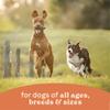 CANIDAE All Life Stages Chicken & Rice Wet Dog Food, 13 oz view 4