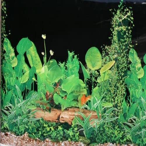 M&S Reptile Terrarium Background, Black