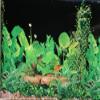 M&S Reptile Terrarium Background, Black view 1