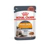 ROYAL CANIN Hair & Skin Care Wet Cat Food in Jelly, 12 x 85 g view 1