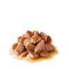 ROYAL CANIN Hair & Skin Care Wet Cat Food in Jelly, 12 x 85 g view 2
