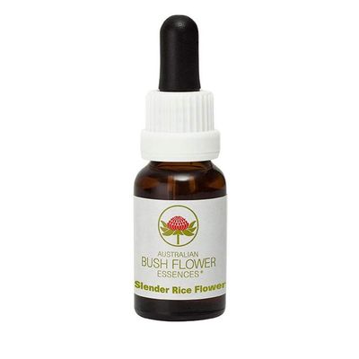 Slender Rice Flower 15 ml Stock Bottle, Australian Bush Flowers