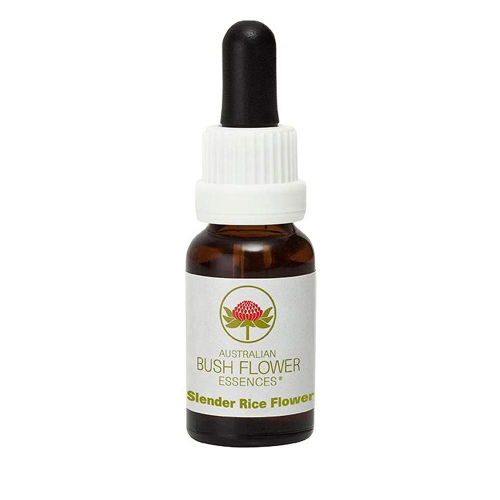 Slender Rice Flower 15 ml Stock Bottle, Australian Bush Flowers