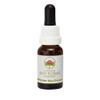 Slender Rice Flower 15 ml Stock Bottle, Australian Bush Flowers view 1