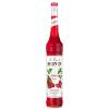 Monin Gomme Syrup view 2