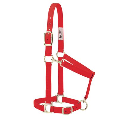 Weaver Leather Adjustable 1 in Nylon Halter, Red