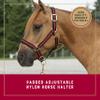 Weaver Leather Adjustable 1 in Nylon Halter, Red view 2