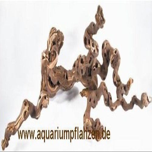 Grapevine Wood 20–30 cm for Terrariums
