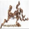 Grapevine Wood 20–30 cm for Terrariums view 1