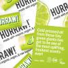 Organic Lip Balm - The Classics - HURRAW! Lime view 3