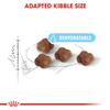 ROYAL CANIN MOTHER & BABYCAT | 400 g view 3