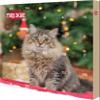 Trixie 9269 Advent Calendar for Cats, 30 × 34 × 3.5 cm view 1