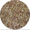 Eder Spices - Whole Brotzeit Seasoning - 500 g view 1