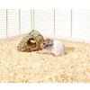 KARLIE Grass Nest WONDERLAND GREEN Iglu for Small Animals view 1