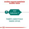 Royal Canin Feline Instinctive +7 85g view 4