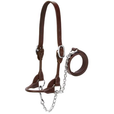 Weaver Rounded Leather Halter for Dairy and Beef Cattle, 90-0525, Brown, L