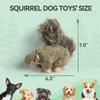 All for Paws Classic - Squirrel Small - Dog Toy view 2