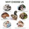 All for Paws Classic - Squirrel Small - Dog Toy view 4