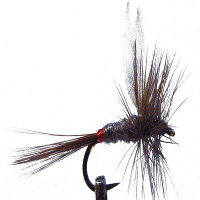 1 x Dry Fly - SUB BLUE - Trout Fishing - H14