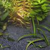JBL Sansibar Dark Substrate for Freshwater Aquariums, 10 kg, 67051 view 2