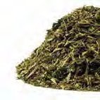 Vanilla Black Tea, 1 kg in Original Packaging