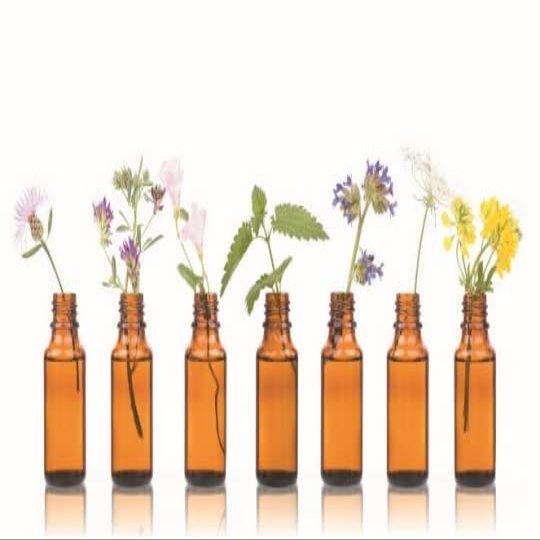 Honeycomb 1 ml by Dragonspice Naturwaren