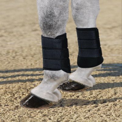 ESKADRON ProExtreme Horse Boots, White, Size II
