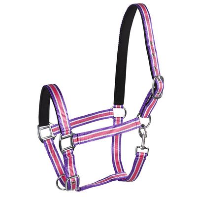 PFIFF 101517 Plastic Halter, Pasture Halter Stable Halter, Pink-White-Purple, Cob