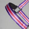 PFIFF 101517 Plastic Halter, Pasture Halter Stable Halter, Pink-White-Purple, Cob view 2