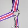 PFIFF 101517 Plastic Halter, Pasture Halter Stable Halter, Pink-White-Purple, Cob view 3