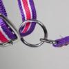 PFIFF 101517 Plastic Halter, Pasture Halter Stable Halter, Pink-White-Purple, Cob view 4