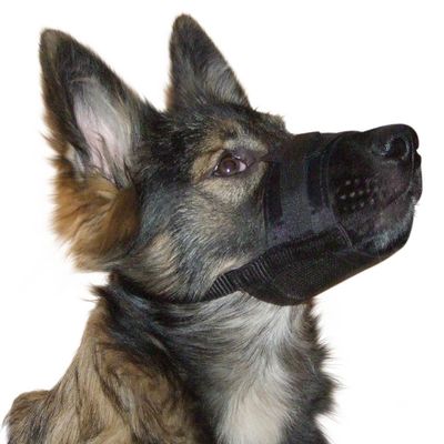 Kerbl Pet Nylon Muzzle XXL, Black 22-30 cm / 11 cm
