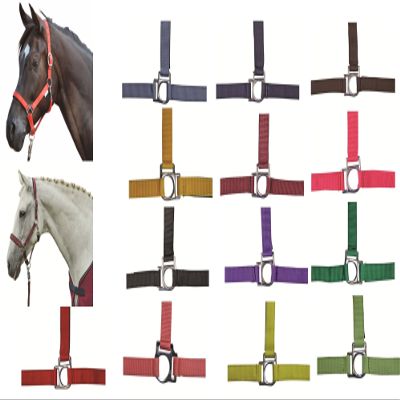 HKM 558527 Halter Stars, Warmblood, Dark Blue