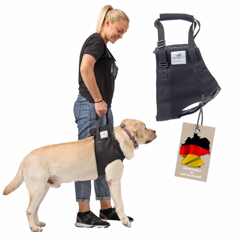 Nature Pet Front Dog Support Harness – Carrying Strap for Stairs and Walking Assistance, Ideal for Older, Sick, or Post-Surgery Dogs – Dog Mobility Lifting Harness (M, Black)