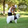 Nature Pet Front Dog Support Harness – Carrying Strap for Stairs and Walking Assistance, Ideal for Older, Sick, or Post-Surgery Dogs – Dog Mobility Lifting Harness (M, Black) view 3