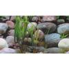 Hobby Photo Background - Stones 1 / Stones 2 - 150 x 60 cm view 1