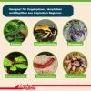 Lucky Reptile Terrarium Humus, 1000g view 3