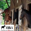 AMKA Edmonton Horse Blanket view 4