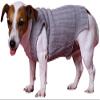Doggy Dolly W073 Knitted Dog Sweater, Gray, XL view 3
