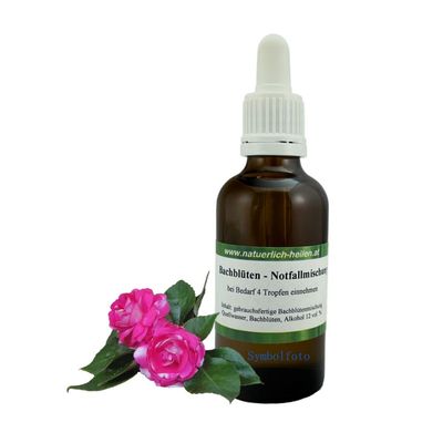 Bach Flower Blend for Concentration, 100 ml – Preservative-Free