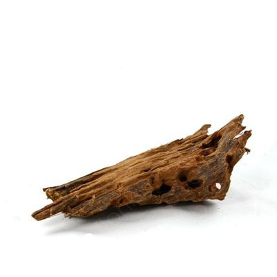 Mangrove Root for Aquariums and Terrariums 12-15 cm