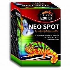 Terra Exotica Neo Spot Terrarium Reflector Spot Bulb with UV Radiation, 40 W